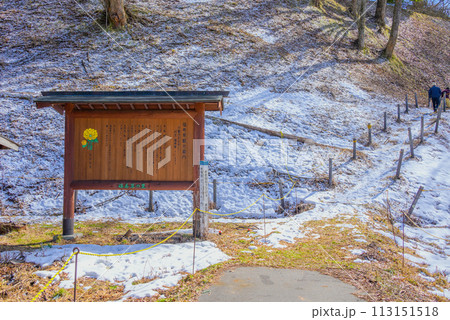 赤怒田福寿草群生地【松本市四賀地区】 赤怒田福寿草群生地【松本市四賀地区】 113151518