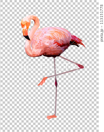 火烈鳥（2條腿） 113151778