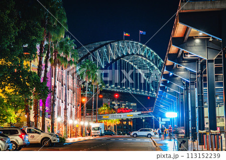 ハーバーブリッジと街路樹 113152239