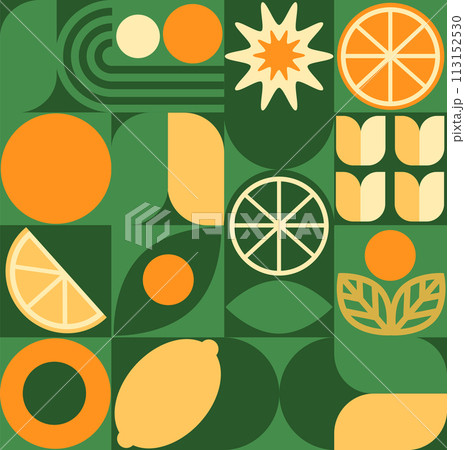 Abstract geometric fruit pattern. Shapes of natural organic flower plants, eco-agriculture citrus. Vector minimal illustration 113152530