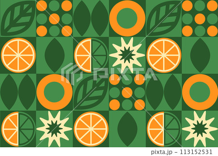 Abstract geometric fruit pattern. Shapes of natural organic flower plants, eco-agriculture citrus. Vector minimal illustration 113152531