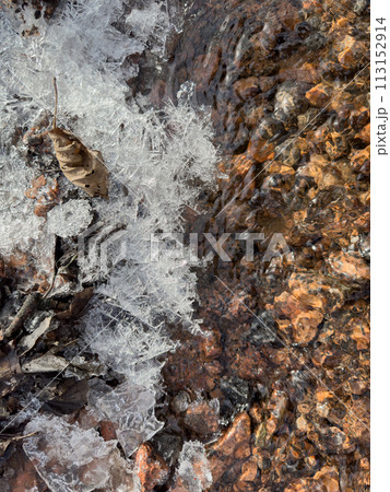 thin transparent ice on a puddle in the park on a spring day, foliage through the ice, dry grass through ice 113152914