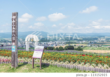 北海道上富良野町　夏の北海道　ラベンダーや様々な花が咲き誇る日の出ラベンダー園 113152915