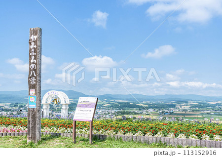 北海道上富良野町 夏の北海道 ラベンダーや様々な花が咲き誇る日の出ラベンダー園 北海道上富良野町 夏の北海道 ラベンダーや様々な花が咲き誇る日の出ラベンダー園 113152916
