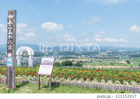 北海道上富良野町 夏の北海道 ラベンダーや様々な花が咲き誇る日の出ラベンダー園 北海道上富良野町 夏の北海道 ラベンダーや様々な花が咲き誇る日の出ラベンダー園 113152917