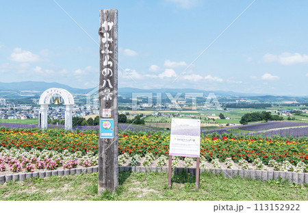 北海道上富良野町 夏の北海道 ラベンダーや様々な花が咲き誇る日の出ラベンダー園 北海道上富良野町 夏の北海道 ラベンダーや様々な花が咲き誇る日の出ラベンダー園 113152922