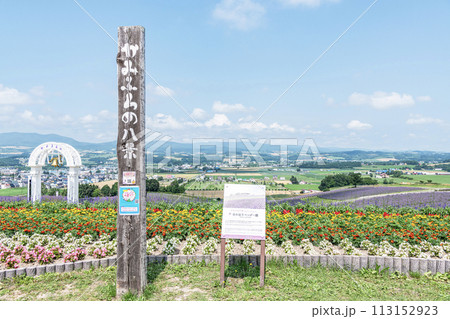 北海道上富良野町 夏の北海道 ラベンダーや様々な花が咲き誇る日の出ラベンダー園 北海道上富良野町 夏の北海道 ラベンダーや様々な花が咲き誇る日の出ラベンダー園 113152923