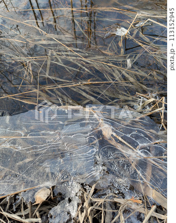 thin transparent ice on a puddle in the park on a spring day, foliage through the ice, dry grass through ice 113152945