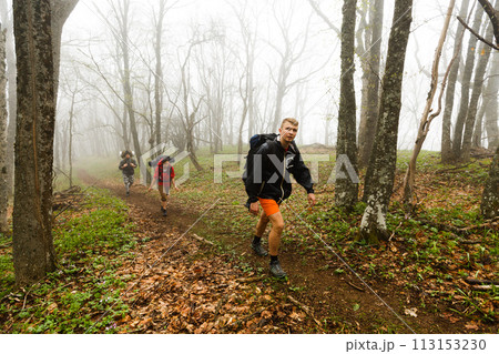 Hikers walk on a foggy forest trail Hikers walk on a foggy forest trail 113153230