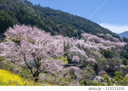 ひょうたん桜公園の眺め 113153291