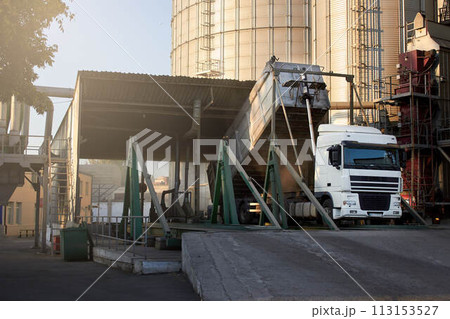 Unloading grain truck at elevator on elevating hydraulic platform unloader. Grain crops transshipment at big sea terminal at seaport. Unloading grain truck at elevator on elevating hydraulic platform unloader. Grain crops transshipment at big sea terminal at seaport. 113153527