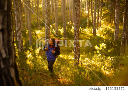 Hiker man walks in a pine yellow autumn forest. Backpacker enjoys golden fall landscape. Hiker man walks in a pine yellow autumn forest. Backpacker enjoys golden fall landscape. 113153572