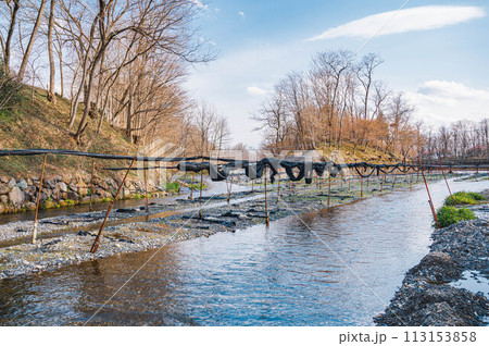 春の安曇野 わさび農場 春の安曇野 わさび農場 113153858