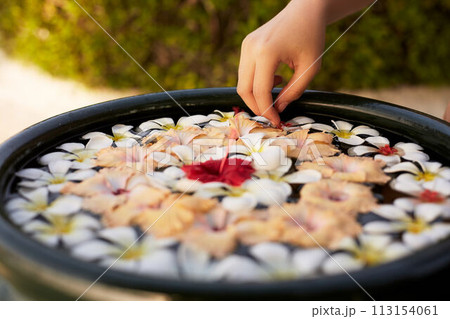 Woman makes decor arrangement in green bowl on the water of frangipani plumeria flowers. Isolated view of hands and floristic composition. Aroma spa concept. 113154061