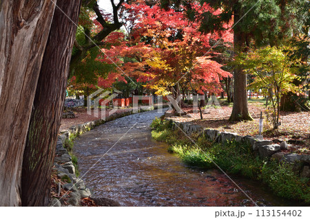 上賀茂神社・ならの小川の紅葉 113154402