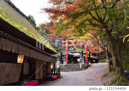 京都・嵯峨鳥居本の紅葉と一の鳥居 113154409