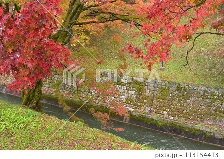山科疎水・第一トンネル西口の紅葉 山科疎水・第一トンネル西口の紅葉 113154413