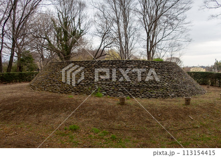 前橋市　大室公園　M-4号墳 113154415