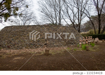 前橋市　大室公園　M-4号墳 113154419