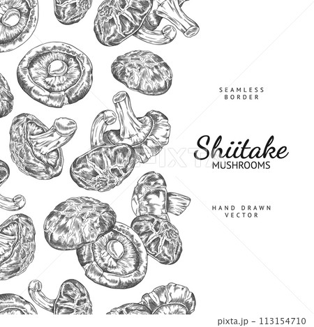 Seamless border with shiitake mushrooms and space for text. Seamless border with shiitake mushrooms and space for text. 113154710