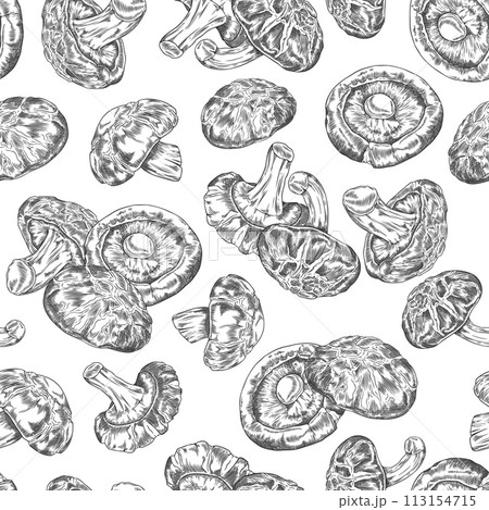 Seamless pattern with shiitake mushrooms engraved hand drawn vector, Asian raw fungus fungi natural organic vegan food Seamless pattern with shiitake mushrooms engraved hand drawn vector, Asian raw fungus fungi natural organic vegan food 113154715