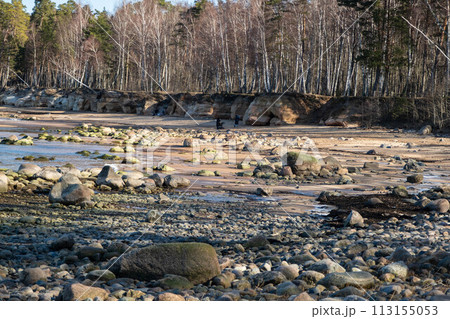 Tranquil Wilderness: Rocky Shoreline Meets Dense Forest. Tranquil Wilderness: Rocky Shoreline Meets Dense Forest. 113155053