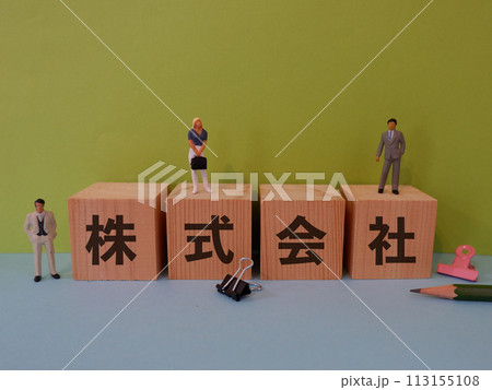 株式会社のアイキャッチ画像 株式会社のアイキャッチ画像 113155108