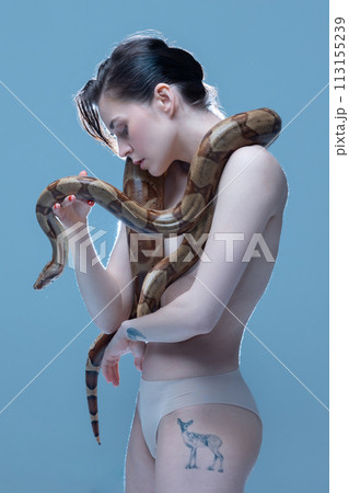 Tender brunette young woman in underwear posing with snake around body on blue background. Exploring human instincts Tender brunette young woman in underwear posing with snake around body on blue background. Exploring human instincts 113155239