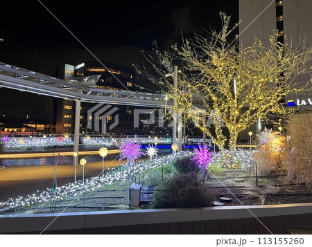 豊洲 ミチノテラス豊洲のイルミネーション 豊洲 ミチノテラス豊洲のイルミネーション 113155260