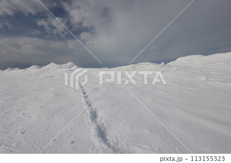 北海道イクシナ海岸流氷丘景 北海道イクシナ海岸流氷丘景 113155323