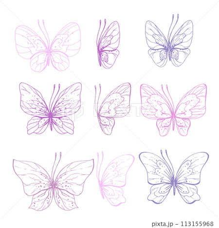 Butterflies are pink, blue, lilac, flying, delicate line art, clip art. Graphic illustration hand drawn in pink, lilac ink. Set of isolated objects EPS vector. 113155968