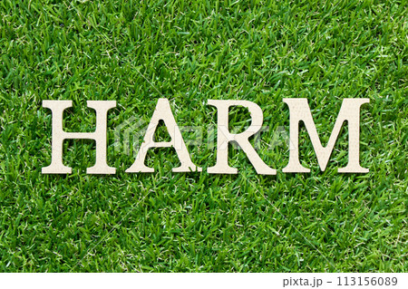 Wood letter in word harm on green grass background 113156089