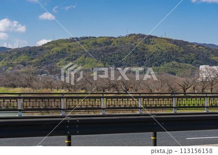 京都府八幡市の淀川三川合流域　木津川御幸橋からの風景（天王山） 113156158