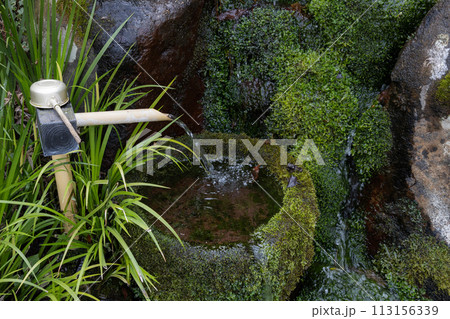 日本庭園で、竹の先から水が流れている 苔むした風情のある水場 日本庭園で、竹の先から水が流れている 苔むした風情のある水場 113156339