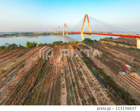 Aerial view of Nhat Tan bridge in Ha Noi, Vietnam. 113156637