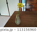 部屋に飾った黄色い花 113156960