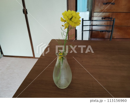 部屋に飾った黄色い花 113156960