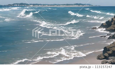 波が打ち寄せる海岸 113157247