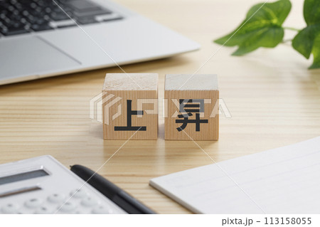 上昇と書かれた積み木 上昇と書かれた積み木 113158055