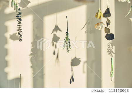Mock up with artificial flowers levitating, hanging flowers on a white wall with window shadow. Background, backdrop with copy space. Template, mockup for your advertising, posters, product. 113158068