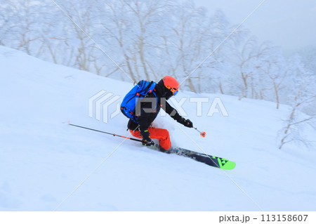 バックカントリースキー バックカントリースキー 113158607