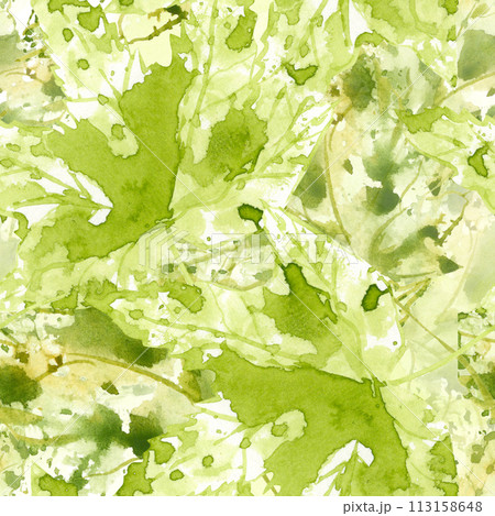 Green yellow abstract texture in watercolor style. Vintage design for any purposes. Brush paint. Summer design. Backdrop painting. Aquarelle splash. Hand drawn illustration for card, background Green yellow abstract texture in watercolor style. Vintage design for any purposes. Brush paint. Summer design. Backdrop painting. Aquarelle splash. Hand drawn illustration for card, background 113158648