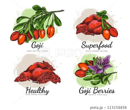 Set of hand drawn fresh and dry goji berries sketch style 113158856
