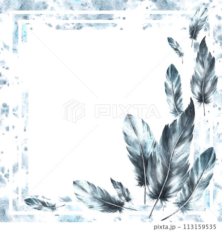 Watercolor painted monochrome frame. Bird grey feathers with watercolor stains, brush stroke, splashes background. Real wings card template illustration. Clipart for print. Isolated white background 113159535