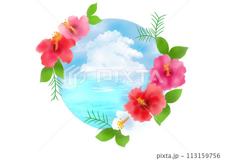 ハイビスカスと海 ハイビスカスと海 113159756