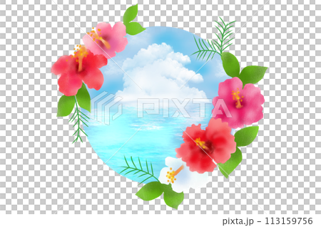 ハイビスカスと海 ハイビスカスと海 113159756