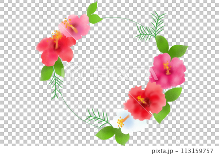 ハイビスカスの花の輪 ハイビスカスの花の輪 113159757