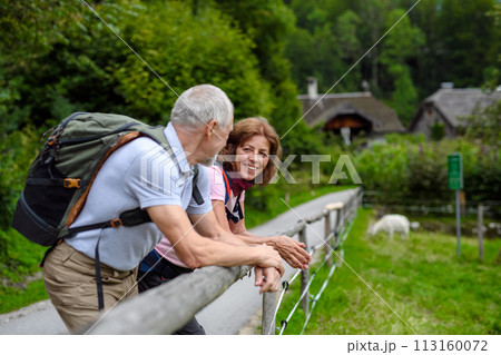 Elderly couple leaning against wooden railing during hike in mountains. Senior tourists resting, enjoying view 113160072