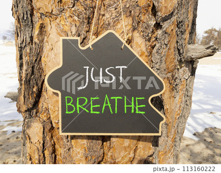 Just breathe and psychological symbol. Concept words Just breathe on beautiful black house blackboard. Beautiful tree background. Business psychological and Just breathe concept. Copy space 113160222