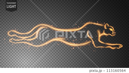 Cheetah Gold Line of Light Running Isolated on A Transparent Background, Vector Illustration Cheetah Gold Line of Light Running Isolated on A Transparent Background, Vector Illustration 113160564